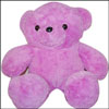 Purple Teddy - Height 60cms - Click here to View more details about this Product
